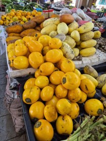Sarawaki savanyú padlizsán - Serikin Market Giant - Terung asam